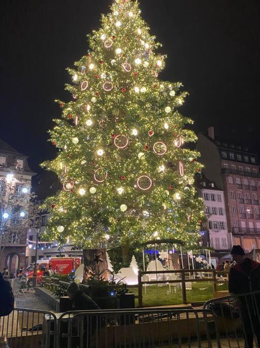 Studio Strasbourg Centre Экстерьер фото